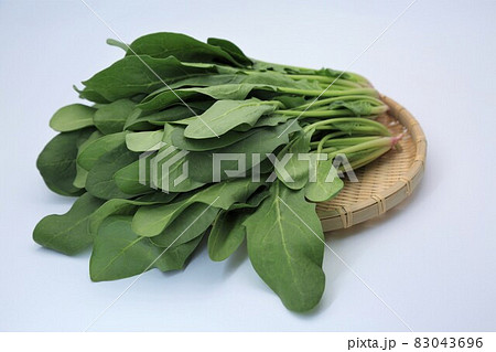 ほうれん草 83043696