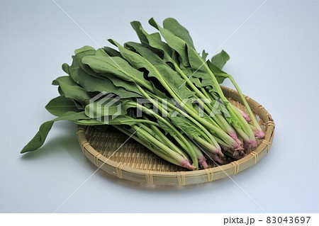 ほうれん草 ほうれん草 83043697