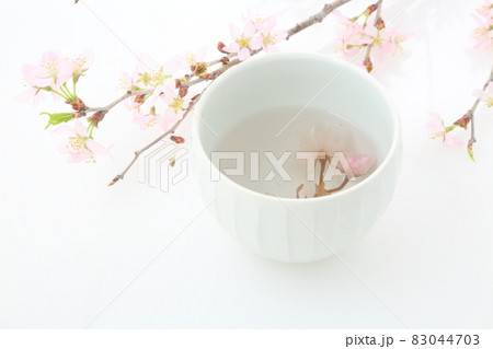 桜と桜茶 桜と桜茶 83044703