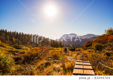紅葉-火打山の木道にて 紅葉-火打山の木道にて 83044704