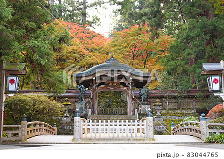 大雄山最乗寺 大雄山最乗寺 83044765