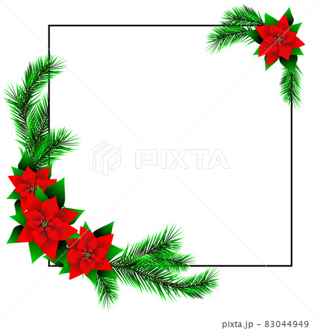 Christmas frame, poinsettia, Christmas tree, isolated on white background. Isolated object, vector. 83044949