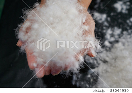 ふんわりした水鳥羽毛のダウンボールイメージ素材 ふんわりした水鳥羽毛のダウンボールイメージ素材 83044950