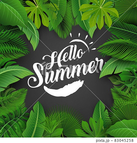 Hello summer sign with Tropical Leaves. Suitable for Summer concept, vacation, and summer holiday 83045258