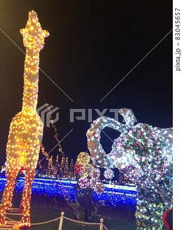 冬の動物園のイルミネーション 83045657