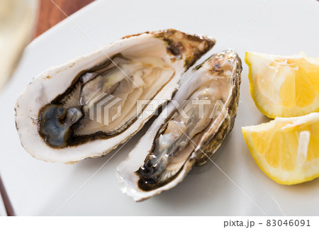 Oysters with lemon on plate Oysters with lemon on plate 83046091