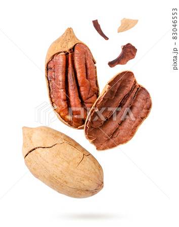Pecan whole and pieces drops on a white background, cut. Isolated Pecan whole and pieces drops on a white background, cut. Isolated 83046553