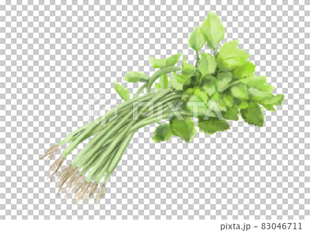 A bunch of three leaves A bunch of three leaves 83046711