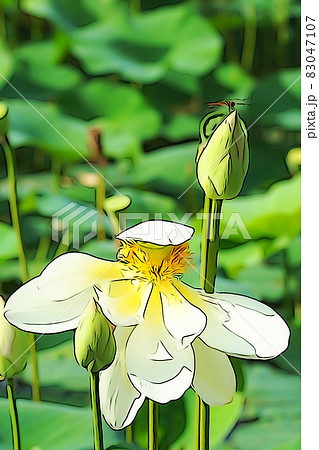 パステル調 ”ハス 花芯 茶托” イラストイメージ パステル調 ”ハス 花芯 茶托” イラストイメージ 83047107