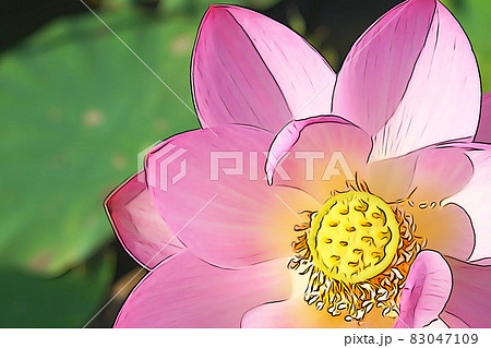 パステル調　”ハス の花”　イラストイメージ 83047109