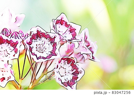 パステル調 ”星型の可愛いカルミアの花” イラストイメージ パステル調 ”星型の可愛いカルミアの花” イラストイメージ 83047256