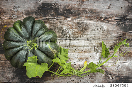 Green variety of pumpkin wooden countertop, top view. 83047592