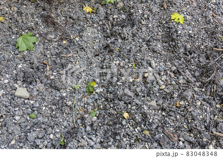 Dirty gray gravel for concrete making and road construction Dirty gray gravel for concrete making and road construction 83048348