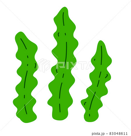 Kelp. Sea cabbage. Green leaves of laminaria. Edible algae. Vegetarianism and natural food. Flat cartoon illustration 83048611