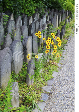 元興寺 境内の石仏群 奈良市 元興寺 境内の石仏群 奈良市 83050535