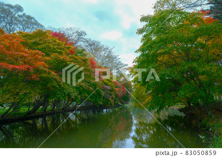 清水公園の紅葉 83050859