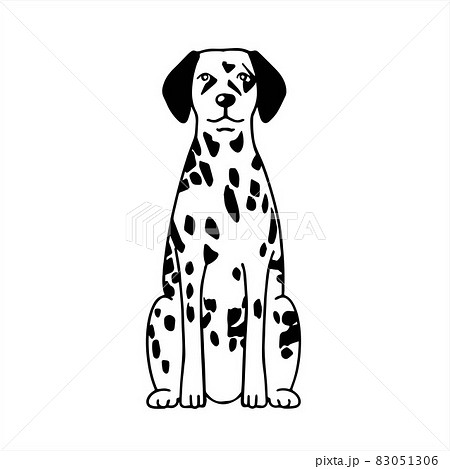 前を向いたダルメシアン 前を向いたダルメシアン 83051306
