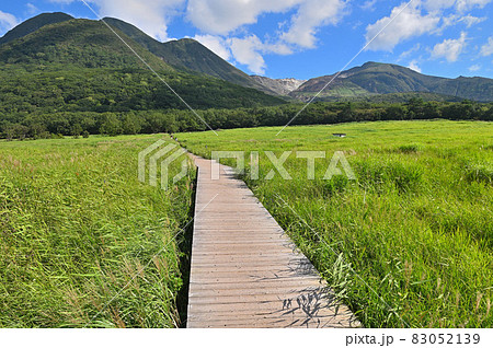 タデ原湿原「木道と指山・三俣山・星生山」 83052139