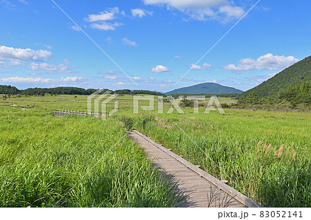 夏のタデ原湿原 夏のタデ原湿原 83052141