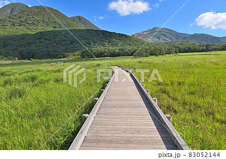 タデ原湿原「木道と指山・三俣山・星生山」 83052144