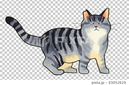 猫の手描きイラスト素材 歩くサバトラ柄の猫 さくらねこの