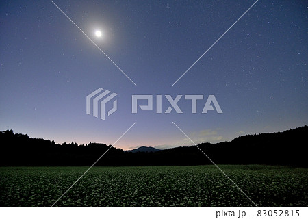 笠のそば畑 83052815