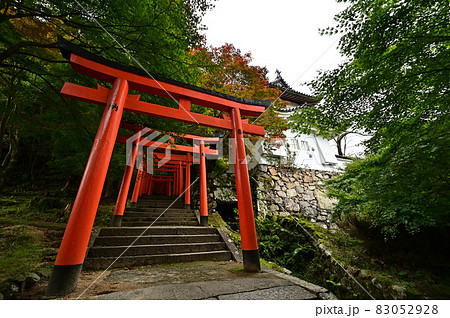 出石城の紅葉 出石城の紅葉 83052928