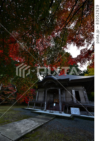 文保寺の紅葉 83052929