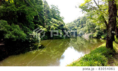 鎌倉の鎌倉湖 鎌倉の鎌倉湖 83054061