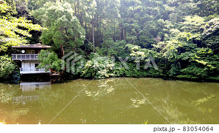 鎌倉の鎌倉湖 鎌倉の鎌倉湖 83054064