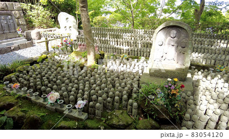 鎌倉の長谷寺の中庭 鎌倉の長谷寺の中庭 83054120