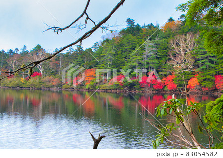 北八ヶ岳・白駒池の紅葉 日本 北八ヶ岳・白駒池の紅葉 日本 83054582