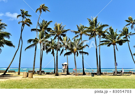 ハワイの休日 ハワイの休日 83054703
