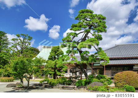 東京都・世田谷区 豪徳寺(ごうとくじ) 東京都・世田谷区 豪徳寺(ごうとくじ) 83055591