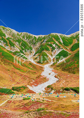 富山_絶景の立山紅葉トレッキング 83055886