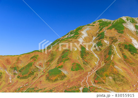 富山_絶景の立山紅葉トレッキング 83055915