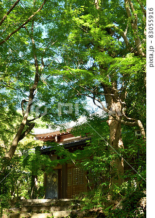龍尾寺　【大阪府四條畷市南野】 83055916