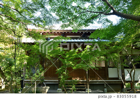 龍尾寺 【大阪府四條畷市南野】 龍尾寺 【大阪府四條畷市南野】 83055918