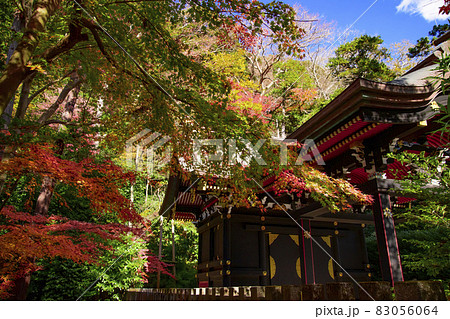 鎌倉八幡宮 鎌倉八幡宮 83056064
