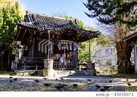 鎌倉 蛭子神社 秋の風景 鎌倉 蛭子神社 秋の風景 83056073