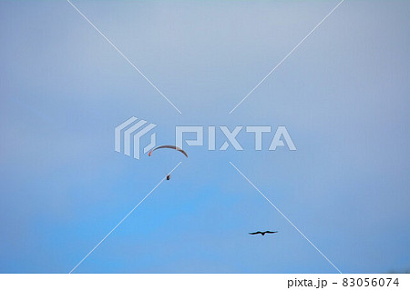 モーターパラグライダーと鳥 モーターパラグライダーと鳥 83056074