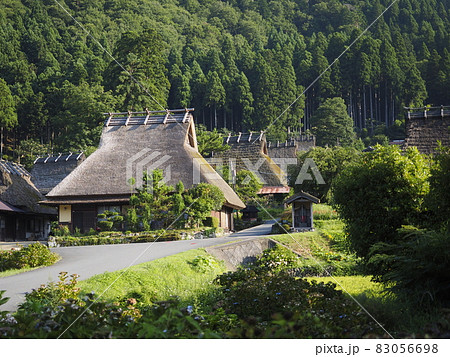 新緑が綺麗な美山かやぶきの里 83056698