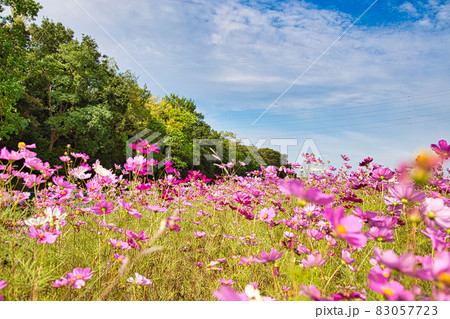 福井県グリーンセンター 83057723