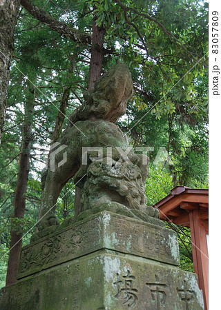 揖夜神社の狛犬(吽形像)(島根県松江市東出雲町揖屋) 揖夜神社の狛犬(吽形像)(島根県松江市東出雲町揖屋) 83057809