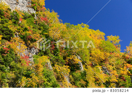 富山_絶景の大観峰紅葉風景 富山_絶景の大観峰紅葉風景 83058214
