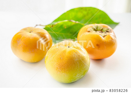 秋の味覚　太秋柿 83058226