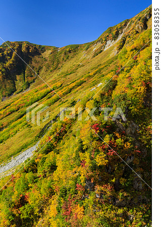 富山_絶景の大観峰紅葉風景 富山_絶景の大観峰紅葉風景 83058355