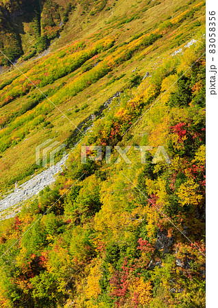 富山_絶景の大観峰紅葉風景 83058356