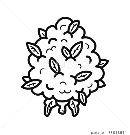 Weed cannabis bud flower outline page for coloring book. Vector hand drawn cartoon kawaii character illustration logo icon. Isolated on white background. Cannabis,marijuana,weed coloring book concept Weed cannabis bud flower outline page for coloring book. Vector hand drawn cartoon kawaii character illustration logo icon. Isolated on white background. Cannabis,marijuana,weed coloring book concept 83058634