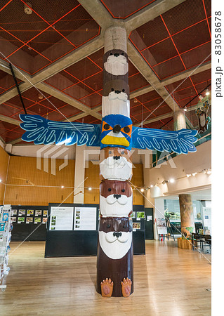 アクアマリンいなわしろカワセミ水族館 アクアマリンいなわしろカワセミ水族館 83058678